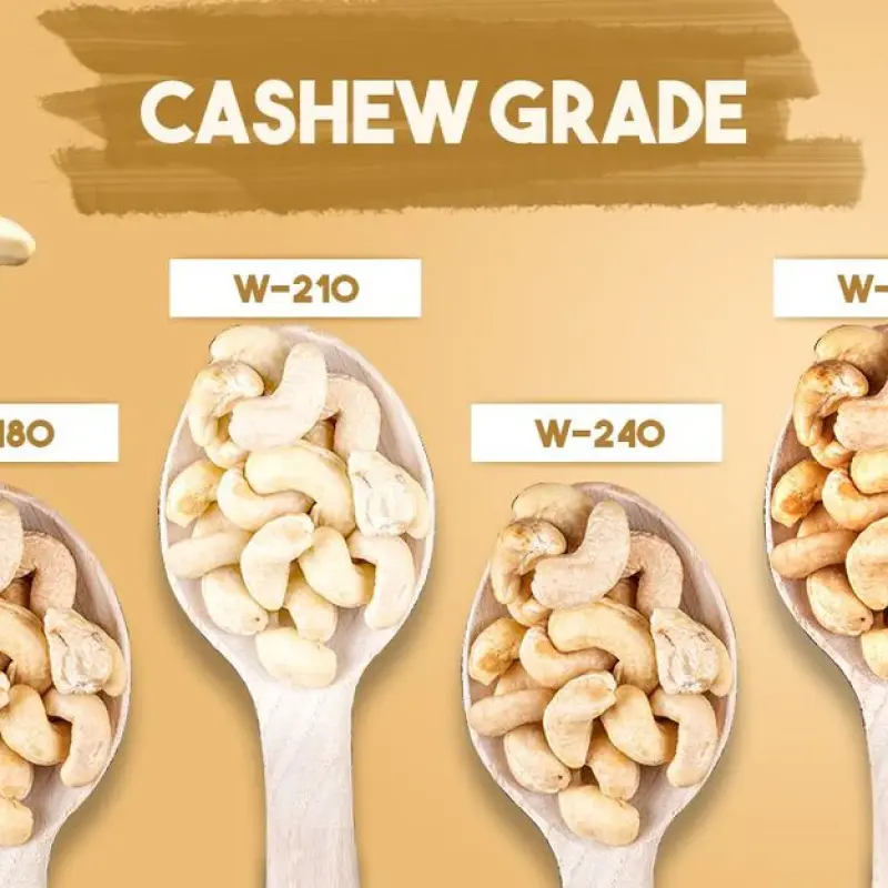 Types of Cashews and Their Uses