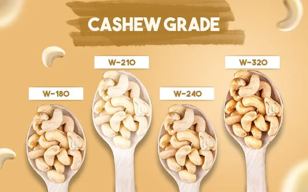 Types of Cashews and Their Uses